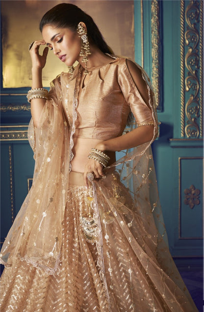 Beige soft net sequence work bridal lehenga choli