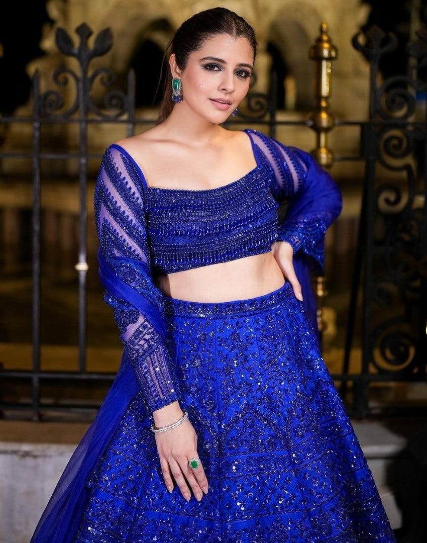 Blue net heavy work designer wedding lehenga choli