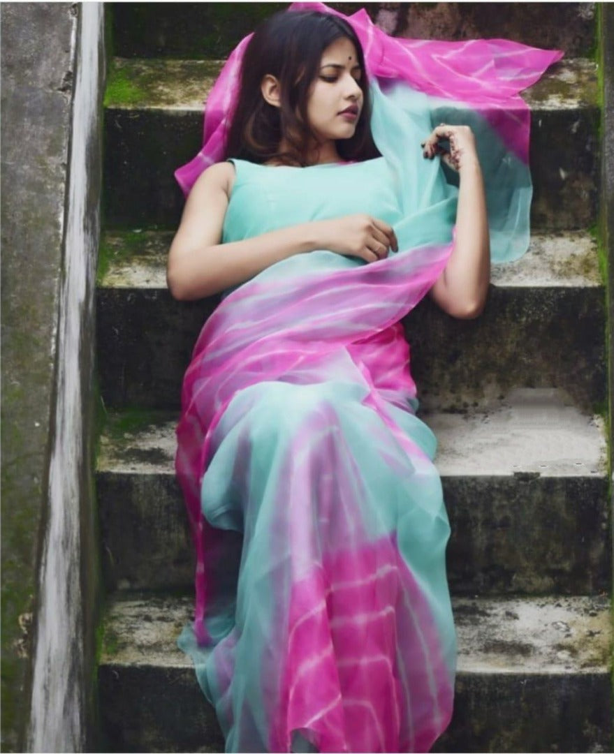 sky blue and pink multi colored heavy moss organza digital printed saree