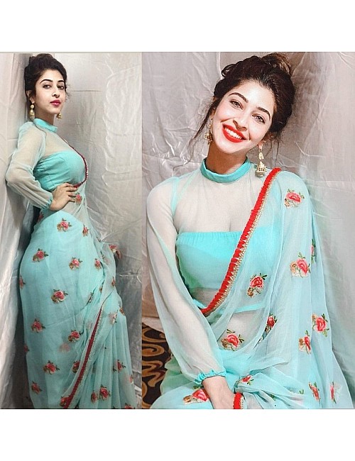 sky mono net beautiful embroidered saree