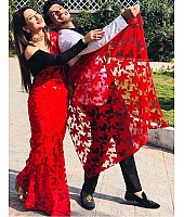 red net embroidered partywear saree