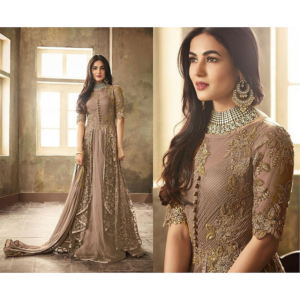 Brown heavy net embroidery and stone worked designer gown with dupatta