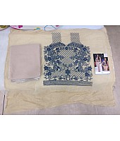 Beige bollywood style partywear saree