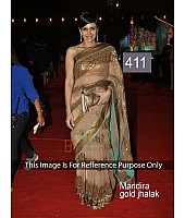 Bollywood style stylist brown embroidered saree