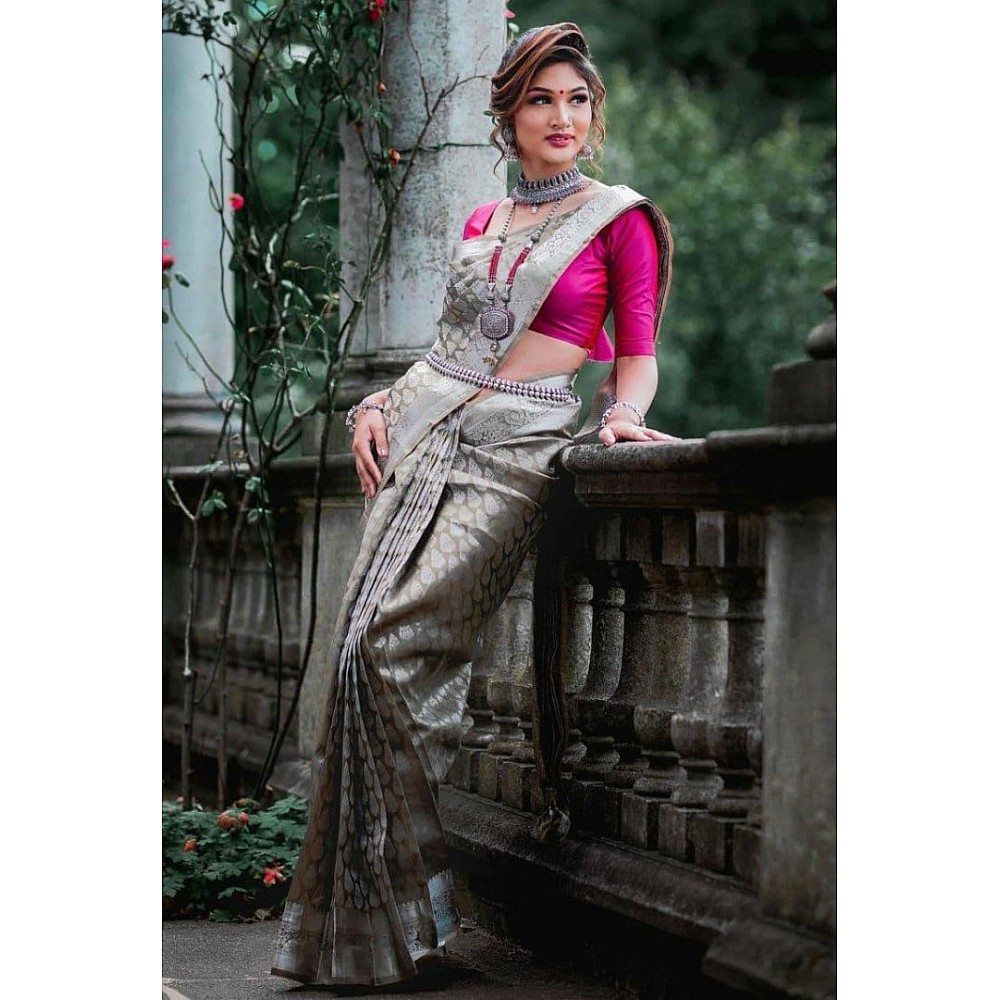 Grey kanchipuram silk silver jacquard work saree
