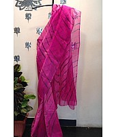 Pink digital liner print organza saree