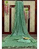 Pista green organza georgette sequence embroidered saree