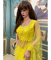 Yellow net embroidered saree