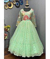 Pista green georgette and soft net embroidered gown