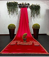 Red japan satin sequence work designer party wear saree