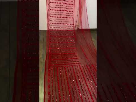 Red net heavy sequence thread work designer wedding saree
